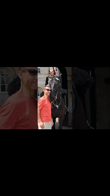 Summer breeze and a bite #horseguardsparade