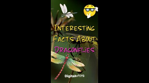 The Amazing Fun Facts That You’ll Love To Know