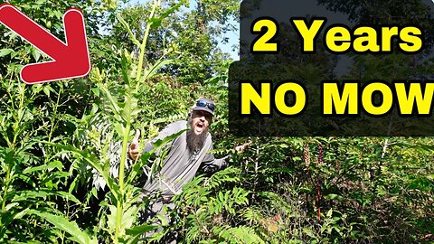 Neighbors Threatened to Call the City on Elderly Couple for Overgrown Yard