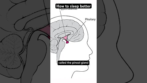 How the pineal gland affects sleep #shorts #insomnia