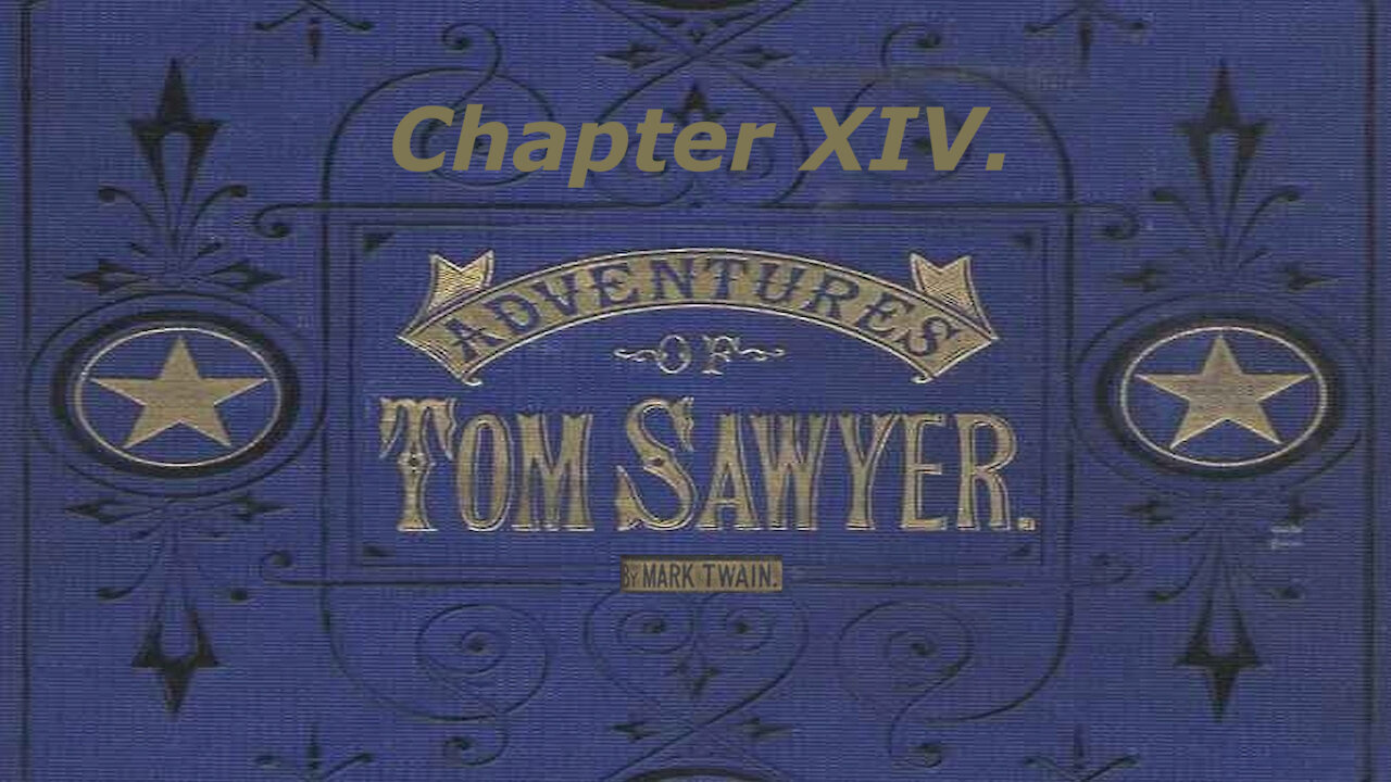 Tom Sawyer Illustrated Audio Drama - Chapter 14