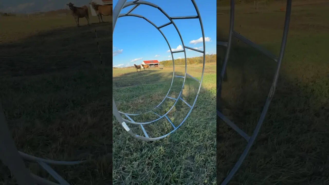 There’s Probably a Better Way to do THIS #hay #haybales