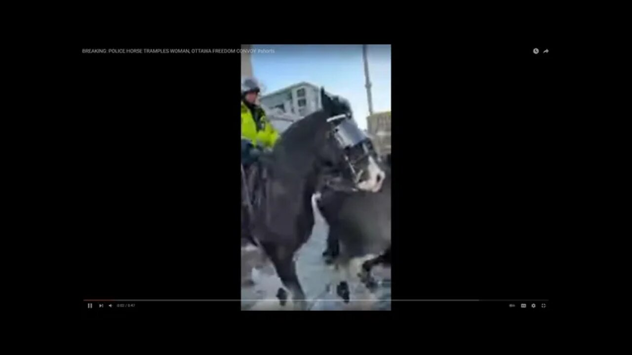 Mounted O.P.D. turn into crowd of peaceful protesters using horses as weapons