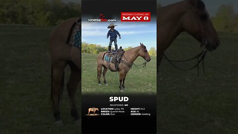 ＳＰＵＤ
