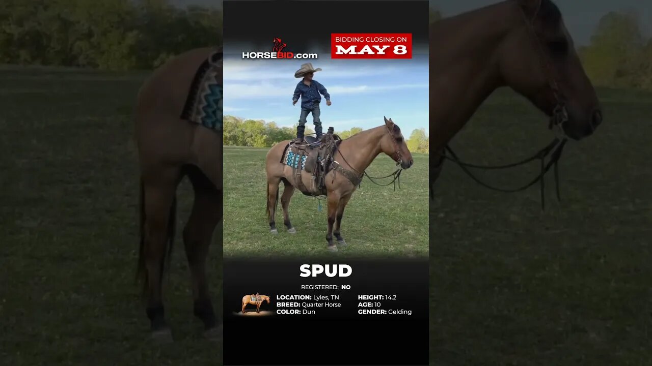 SPUD