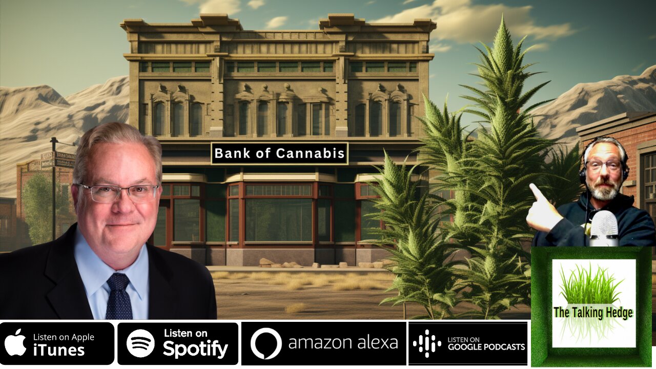 The Cannabis Banker