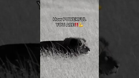 Just a reminder that you are POWERFUL enough to overcome any obstacle life throws at you‼️💪