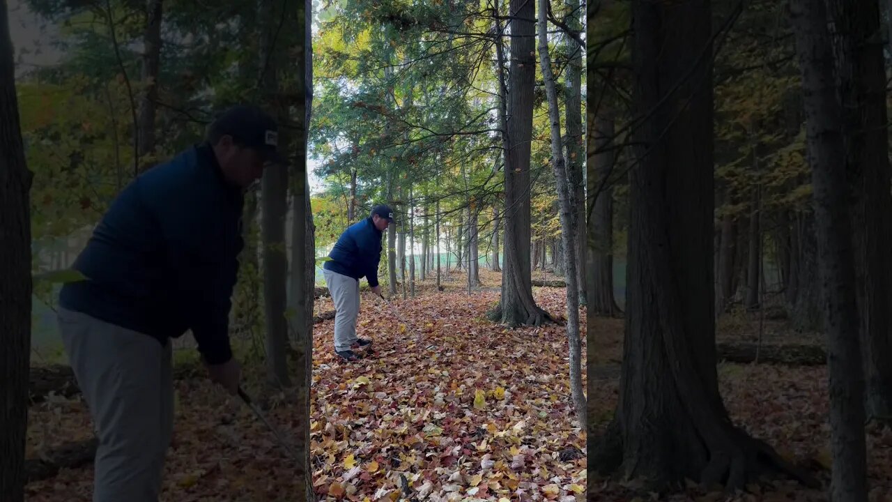 #fun #subscribe #viral #golf #shorts #youtubeshorts