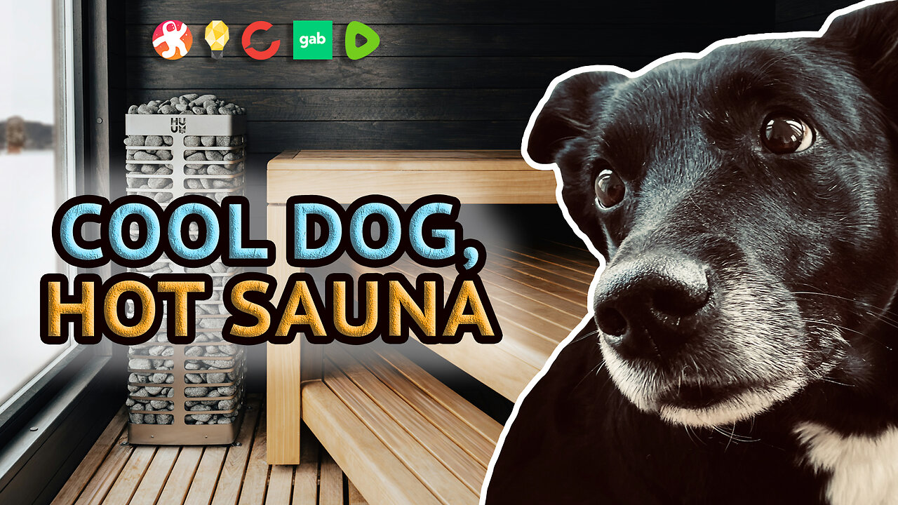 A Very Finnish Sauna With Luna The Dog