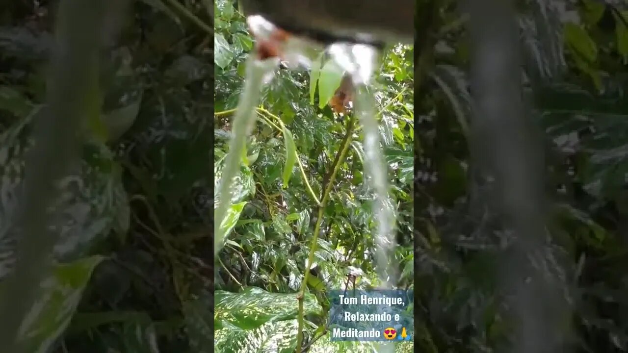 Relaxando e Meditando com esse som de chuva e paisagem maravilhosa, gravado por mim Tom Henrique.