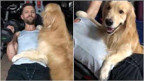 Meilleurs amis! Ce chien va à la gym avec son maître