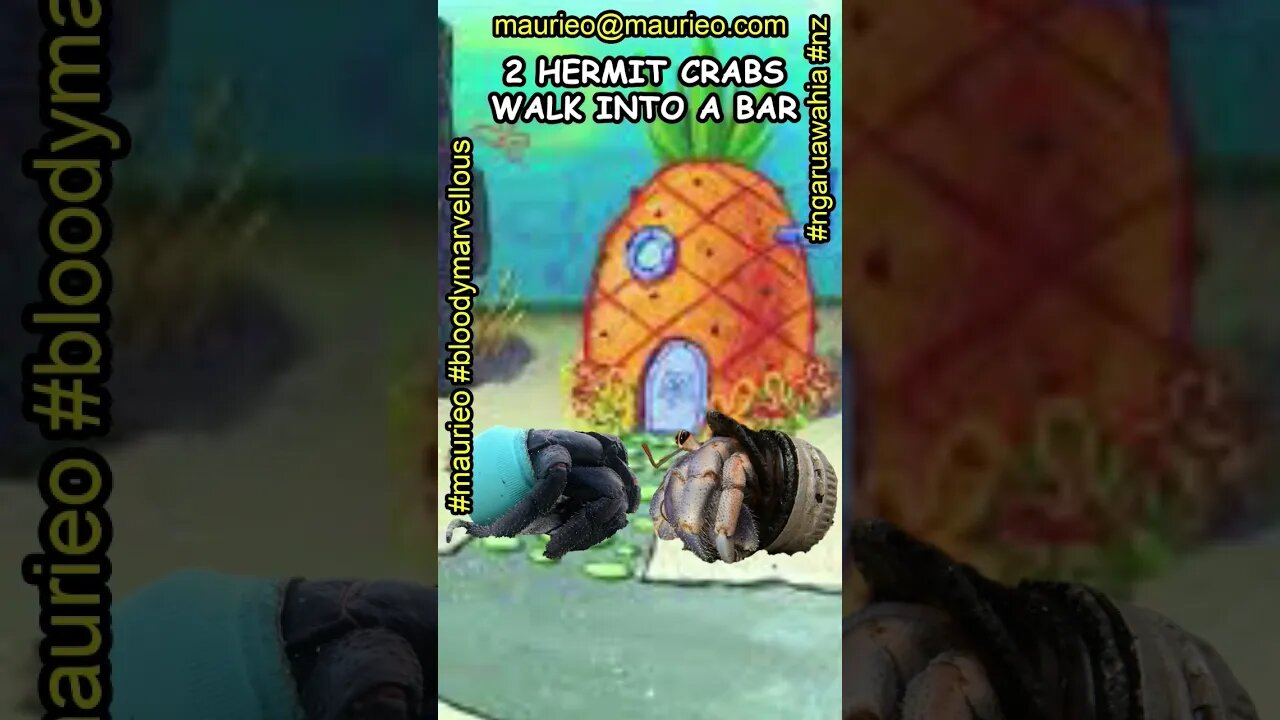 #maurieo #shorts A CRABBY QUESTION