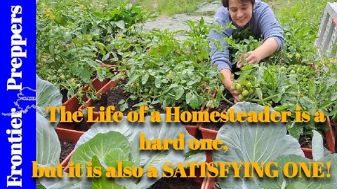 Homesteader Life!