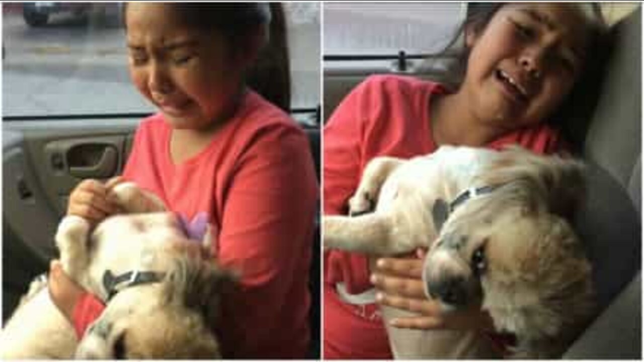 Menina chora ao ver novo penteado do cão