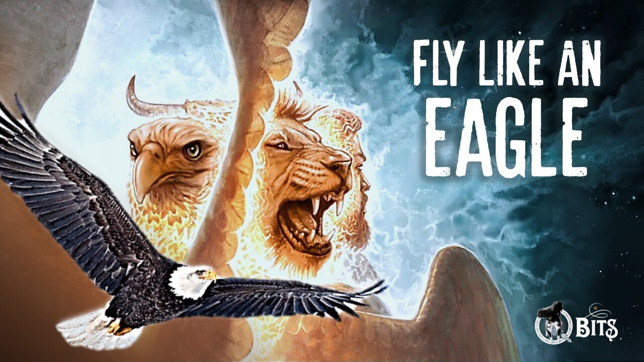 #961 // FLY LIKE AN EAGLE - LIVE