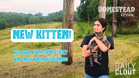 "Our NEW Kitten! Bizarre Adoption Story and New Animal Friends!"