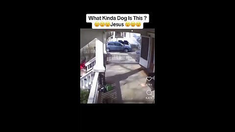 The dog chase him 😂