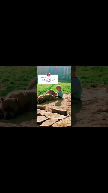 1Min Animal World #dogs #cats #pet