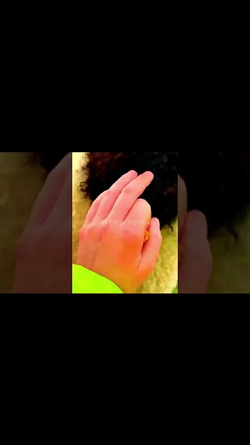 Sweet Jazz - relaxing jazz | sweet january jazz music & smooth jazz for study, work effective