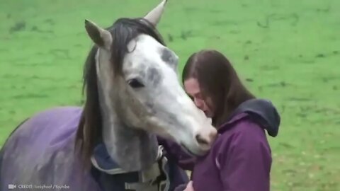 Animals Reunited With Owners After Years