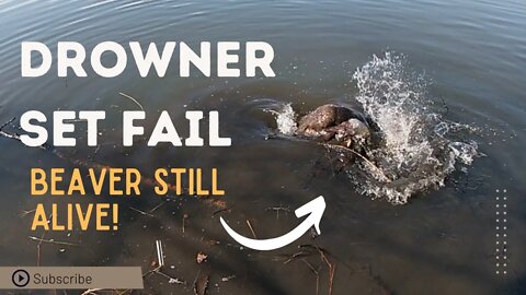 Drowner Set Fail - Beaver Alive! - Eason Season