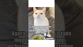 MEMES: OLHA A CARA DO GATO!! #shorts