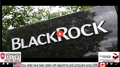 THIS COMPANY OWNS THE WORLD (AND IT'S OUR FAULT)