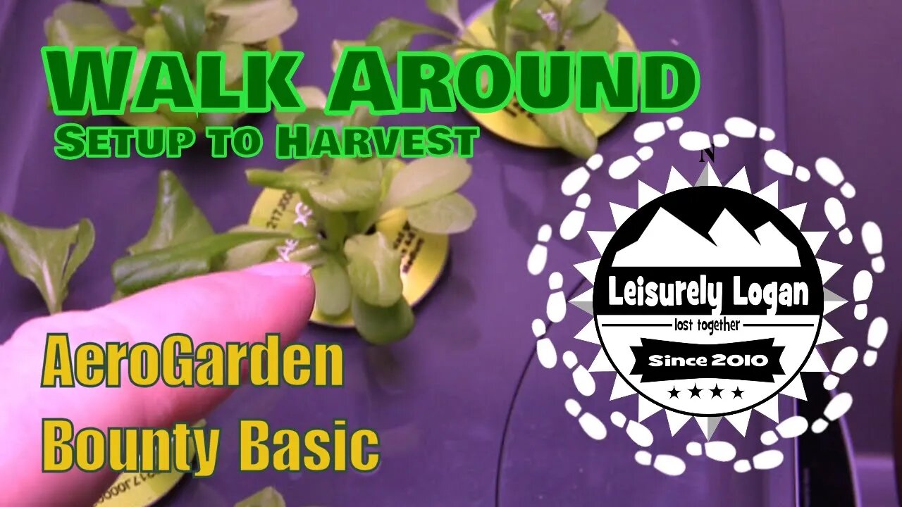 Walk Around: AeroGarden Bounty Basic - From Setup to Harvest