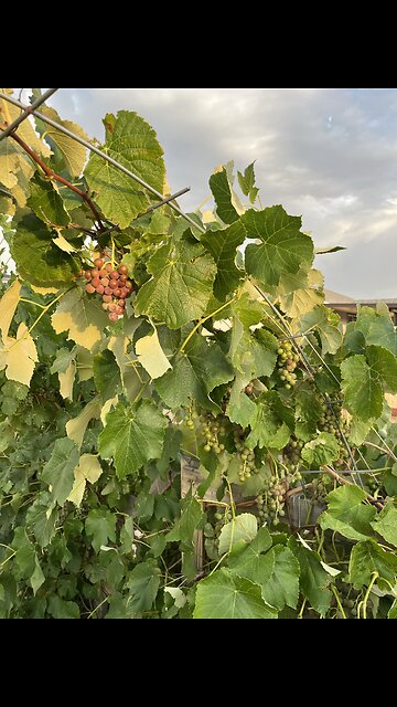 A little bit goes a long way