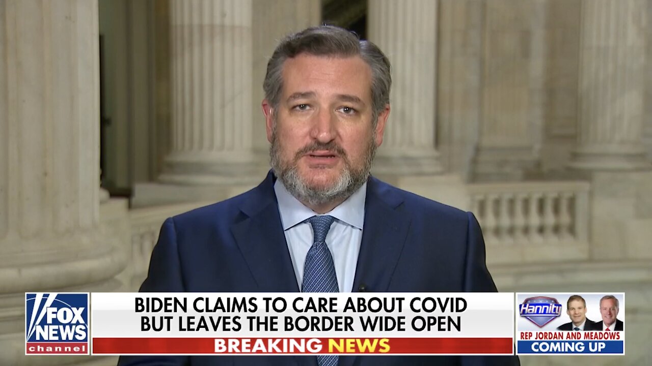 Sen. Ted Cruz: Biden 'does not care' that illegal immigrants are carrying COVID