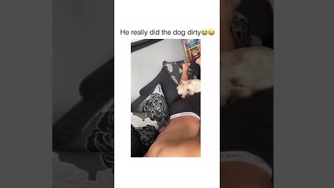 Cute dog video