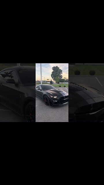 Hatred makes me stronger #ford #mustangsociety #fordperformance #fordracing #shorts