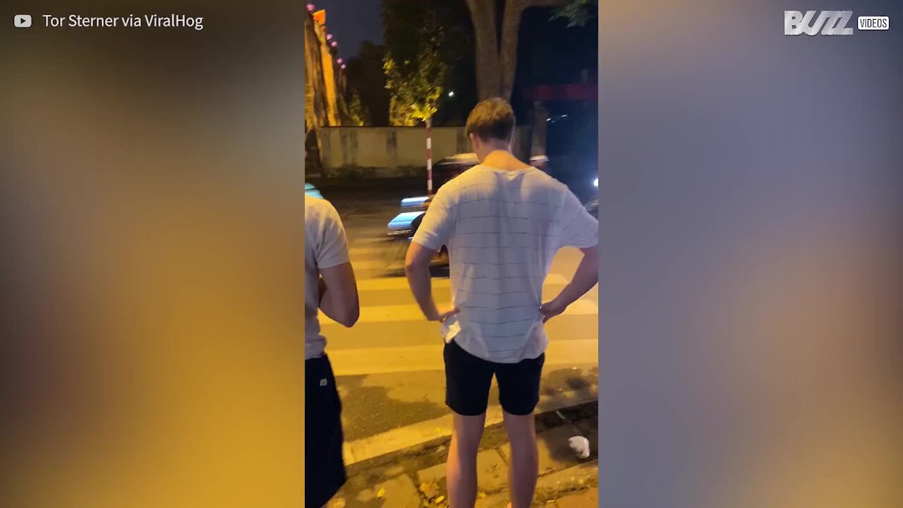 Oseriez-vous traverser dans ce chaos?