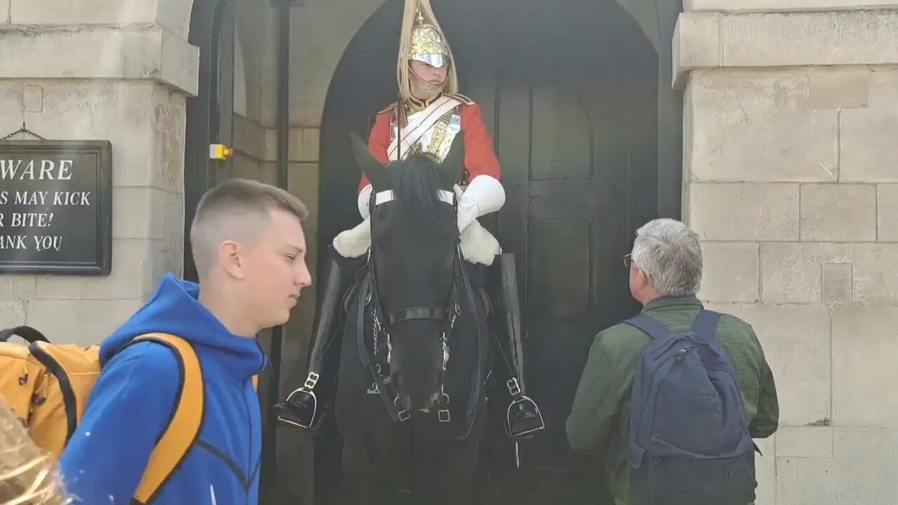 Can i give the horse a polo... no #horseguardsparade