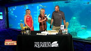 Florida Aquarium | Morning Blend