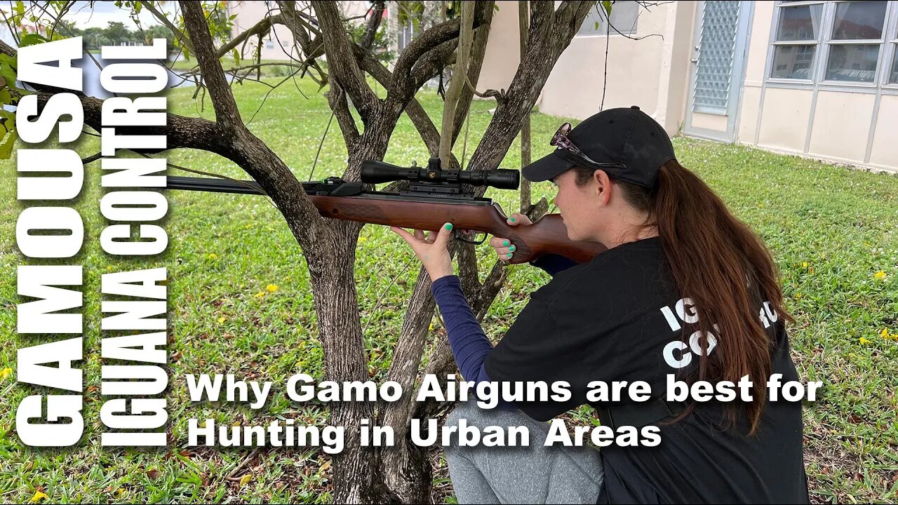 Gamo Iguana Control! Why Gamo Airguns are best for Hunting in Urban Areas and tight quarters