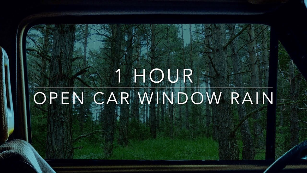 Open Car Window Rain - Rain On Car - Forest Rain - 1 Hour Rain Sounds For Sleeping