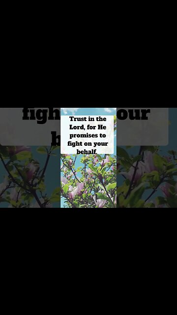 🌈👇 God's Message For You Toda !trust In The Lord! GodsPromisee 👇
