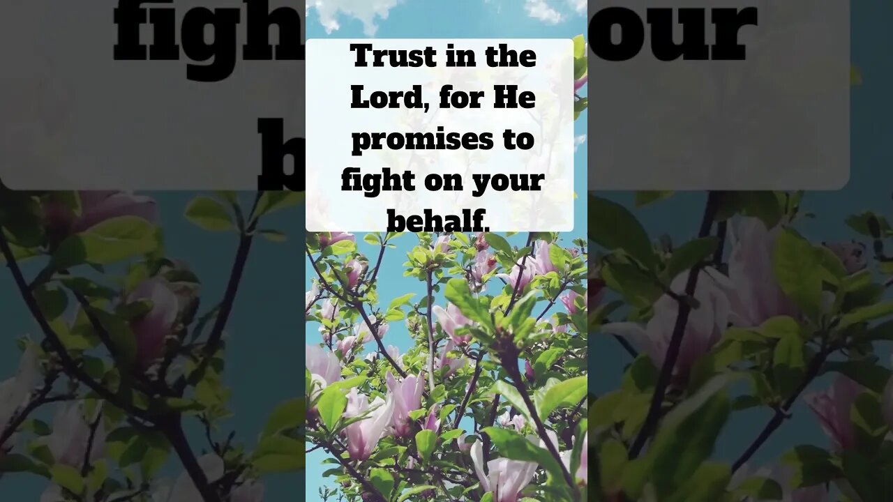 🌈👇 God's Message For You Toda !trust In The Lord! GodsPromisee 👇