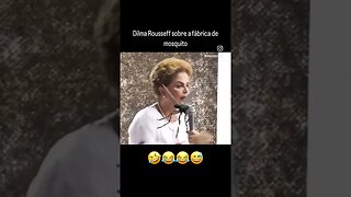 Dilma Rousseff fala sobre fábrica de mosquitos. 🤣🤣