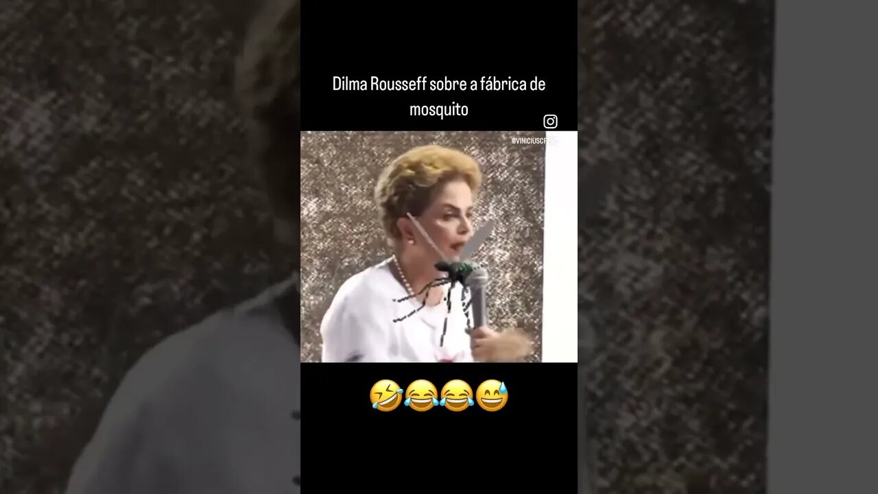 Dilma Rousseff fala sobre fábrica de mosquitos. 🤣🤣