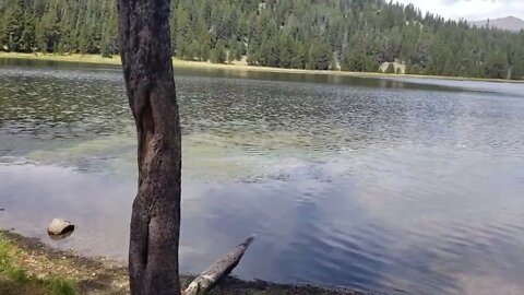Vacation! West Tensleep Lake Wyoming