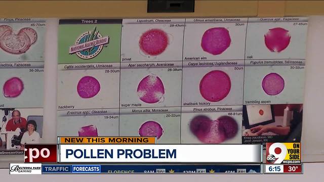 Allergies in Cincinnati? Here's how we know how much pollen, mold is in the air