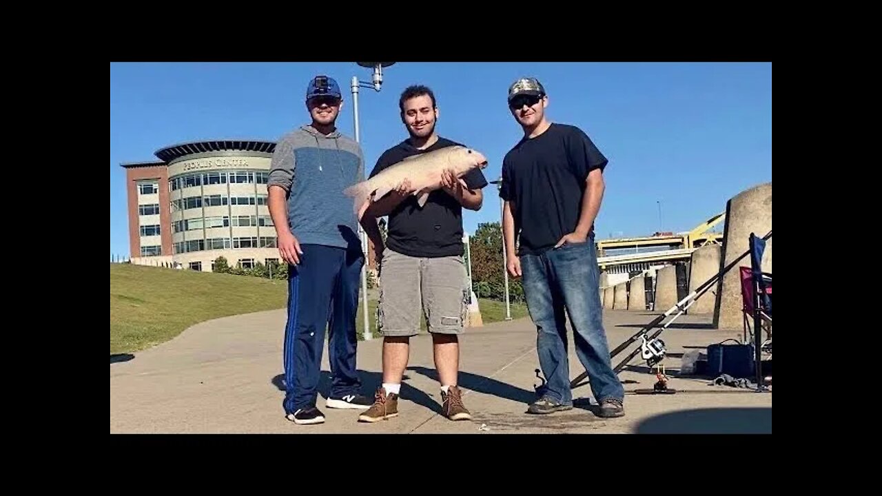 I CAUGHT A 30 INCH BIGMOUTH BUFFALO FISH WITH A MINI CORN DOG w/ M-L Outdoors