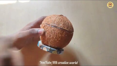 Waste Coconut Shell and Earbuds Craft Idea