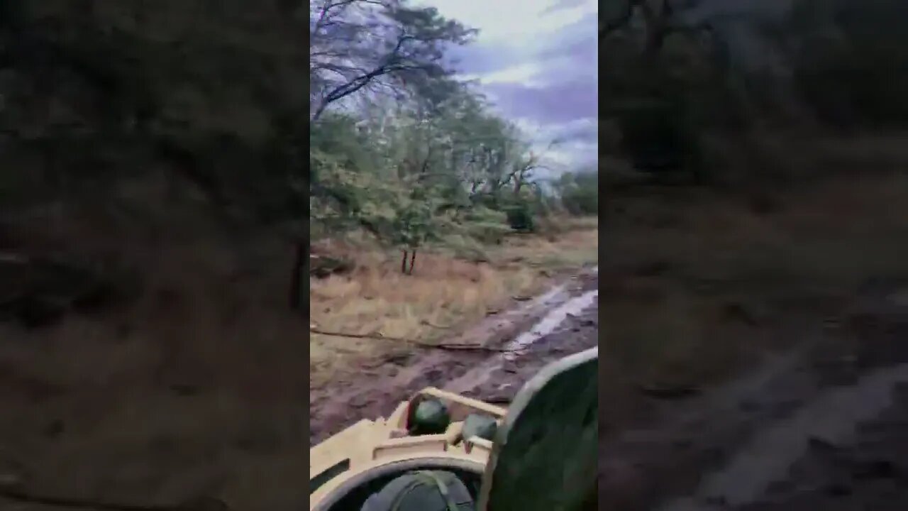 YPR 765 of the Ukrainian army drives past a broken column of three of the same YPR 765