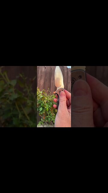 Sunset sexy! #knife #knifecollection #edcknife