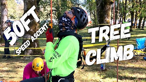 Tree climbing speed ascent 50ft #Shorts