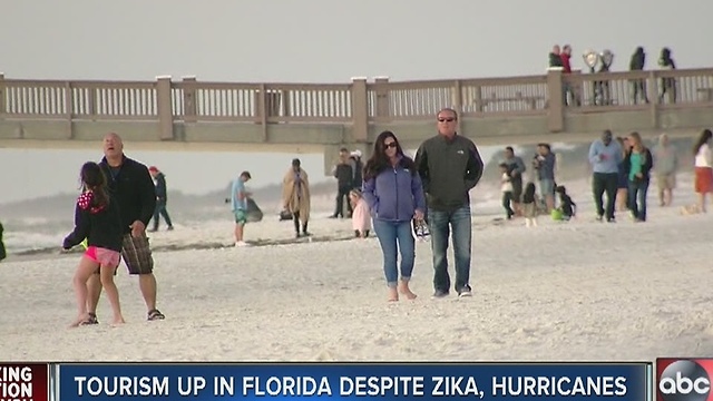 Tourism up in Florida despite Zika and Hurricanes