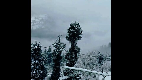snowfall lovers